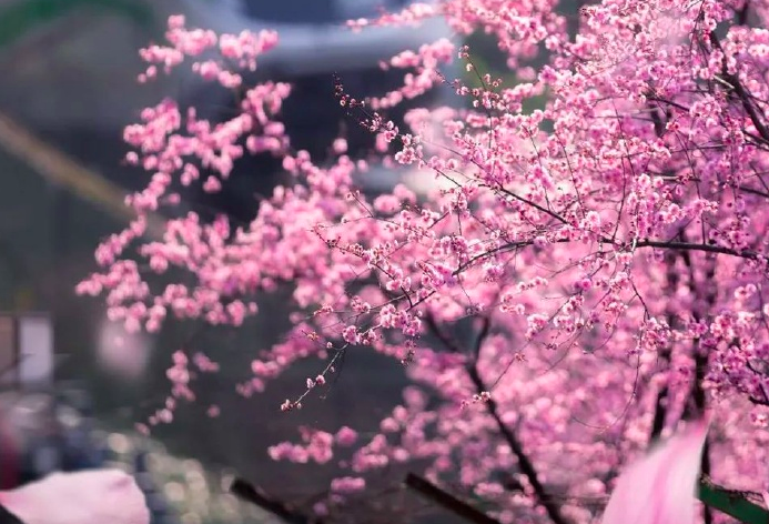 w66国际·利来(中国游)_来利国际旗舰